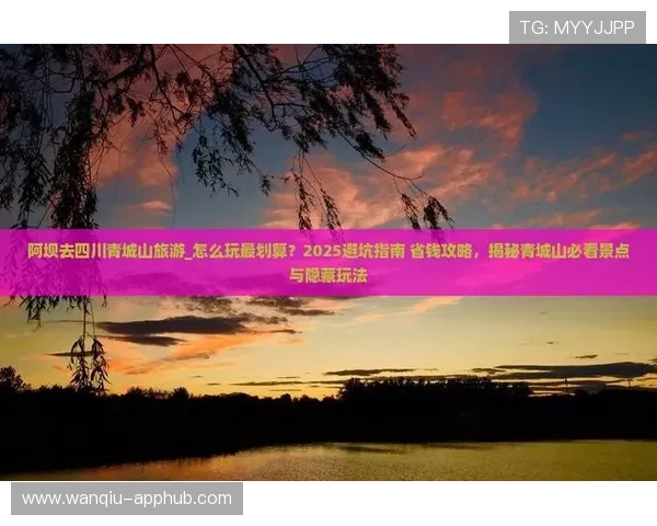 玩球彩票与数字高频玩法避坑指南防骗必看
